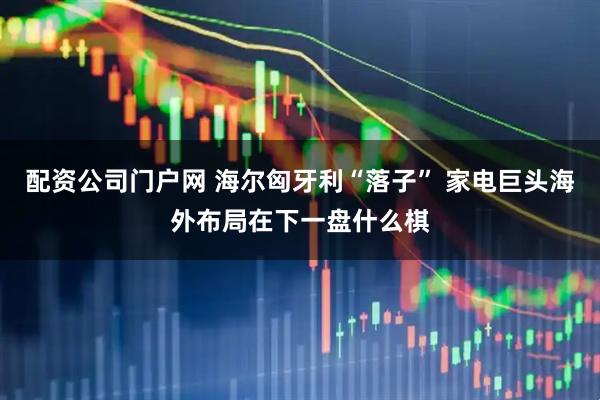 配资公司门户网 海尔匈牙利“落子” 家电巨头海外布局在下一盘什么棋