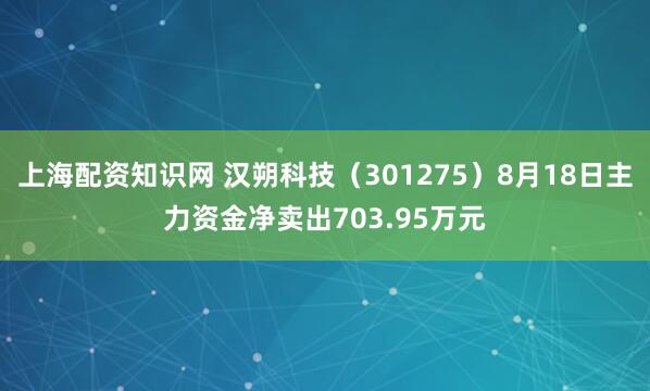 上海配资知识网 汉朔科技（301275）8月18日主力资金净卖出703.95万元